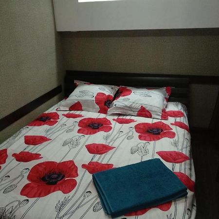 Gagarin Street Почасово, Посуточно. Apartment Krivoy Rog Bagian luar foto